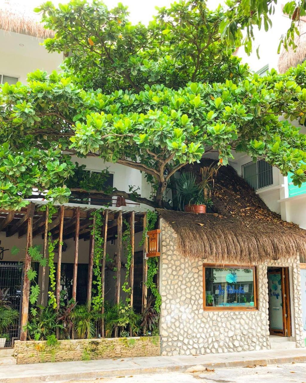 Hotel La Palmita By Mij Tulum Exterior foto